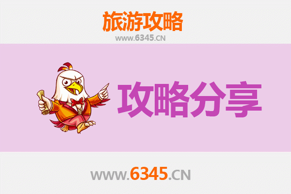 亳州谯城旅游攻略：跟团与自由行深度对比